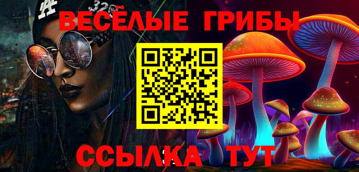 купить  цена  Псилоцибиновые грибы Psilocybe  Вход с VPN  Фролово 