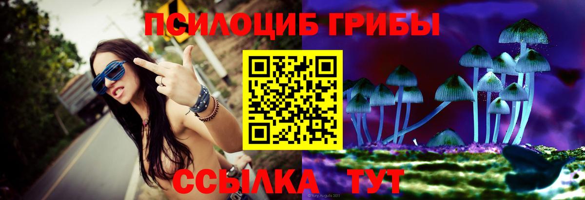 Псилоцибиновые грибы прущие грибы Фролово